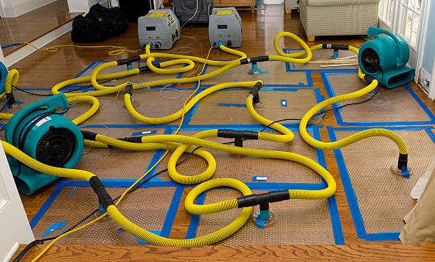 Professional Basement Flood Cleanup technician working in Concord, CA